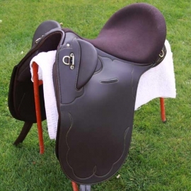 Stock Saddles